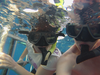 snorkeling sharks selfie cage