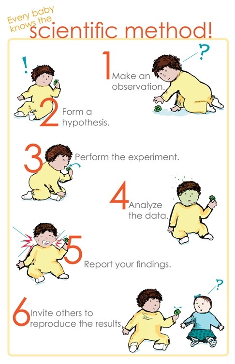 baby scientific method