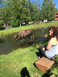 Moose, Chena Hot Springs, Bio Bungalow 